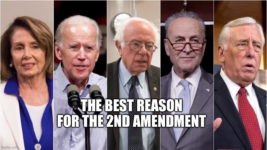 THE FIVE | THE BEST REASON FOR THE 2ND AMENDMENT | image tagged in the five,democrats,2nd amendment | made w/ Imgflip meme maker