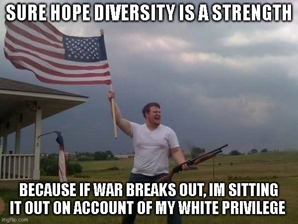 American flag shotgun guy | SURE HOPE DIVERSITY IS A STRENGTH; BECAUSE IF WAR BREAKS OUT, IM SITTING IT OUT ON ACCOUNT OF MY WHITE PRIVILEGE | image tagged in american flag shotgun guy | made w/ Imgflip meme maker