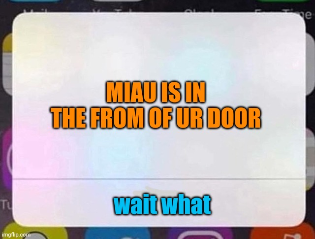 open door pls, it's cold outside ;-; | MIAU IS IN THE FROM OF UR DOOR; wait what | image tagged in iphone notification | made w/ Imgflip meme maker