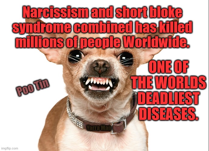 Putin | Narcissism and short bloke syndrome combined has killed millions of people Worldwide. ONE OF THE WORLDS DEADLIEST DISEASES. Poo Tin; Yarra Man | image tagged in narcissistism,deadly diseases,russia,ukraine,murderer | made w/ Imgflip meme maker