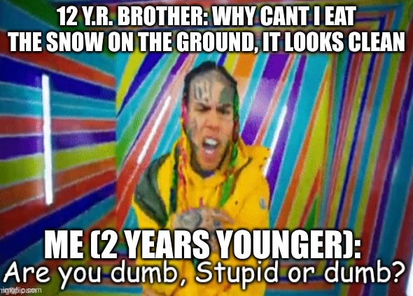 Are you dumb stupid or dumb? | 12 Y.R. BROTHER: WHY CANT I EAT THE SNOW ON THE GROUND, IT LOOKS CLEAN; ME (2 YEARS YOUNGER): | image tagged in are you dumb stupid or dumb | made w/ Imgflip meme maker