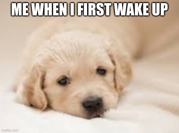 anna | ME WHEN I FIRST WAKE UP | image tagged in anna | made w/ Imgflip meme maker