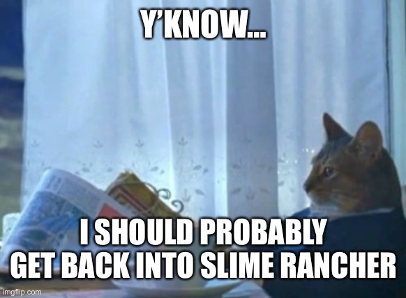 I don’t know if I should get it for my switch or not | Y’KNOW…; I SHOULD PROBABLY GET BACK INTO SLIME RANCHER | image tagged in memes,i should buy a boat cat | made w/ Imgflip meme maker