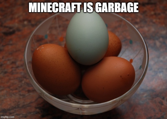 Blue egg among brown eggs | MINECRAFT IS GARBAGE | image tagged in blue egg among brown eggs | made w/ Imgflip meme maker