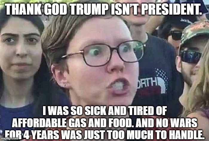 Triggered Liberal | THANK GOD TRUMP ISN’T PRESIDENT. I WAS SO SICK AND TIRED OF AFFORDABLE GAS AND FOOD. AND NO WARS FOR 4 YEARS WAS JUST TOO MUCH TO HANDLE. | image tagged in triggered liberal | made w/ Imgflip meme maker