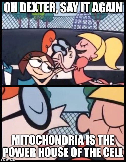 Say it Again, Dexter | OH DEXTER, SAY IT AGAIN; MITOCHONDRIA IS THE POWER HOUSE OF THE CELL | image tagged in memes,say it again dexter | made w/ Imgflip meme maker