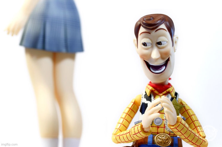Woody NO | image tagged in hentai woody | made w/ Imgflip meme maker
