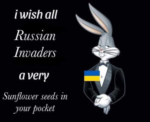 High Quality I wish all Russian invaders sunflower seeds in your pocket Blank Meme Template