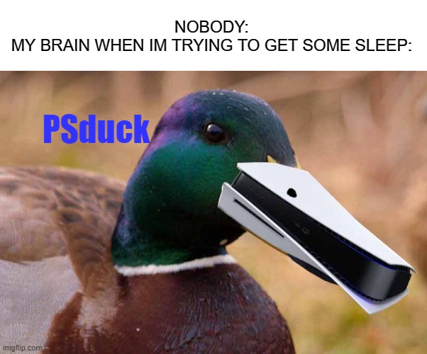 PSduck | NOBODY:
MY BRAIN WHEN IM TRYING TO GET SOME SLEEP:; PSduck | image tagged in meme,duck,ps5,my brain,quack | made w/ Imgflip meme maker