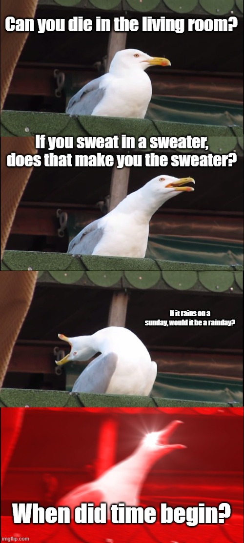 Pain. | Can you die in the living room? If you sweat in a sweater, does that make you the sweater? If it rains on a sunday, would it be a rainday? When did time begin? | image tagged in memes,inhaling seagull | made w/ Imgflip meme maker