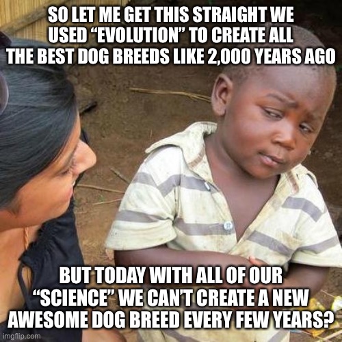 Third World Skeptical Kid |  SO LET ME GET THIS STRAIGHT WE USED “EVOLUTION” TO CREATE ALL THE BEST DOG BREEDS LIKE 2,000 YEARS AGO; BUT TODAY WITH ALL OF OUR “SCIENCE” WE CAN’T CREATE A NEW AWESOME DOG BREED EVERY FEW YEARS? | image tagged in memes,third world skeptical kid,evolution,bullshit,no way,wtf | made w/ Imgflip meme maker