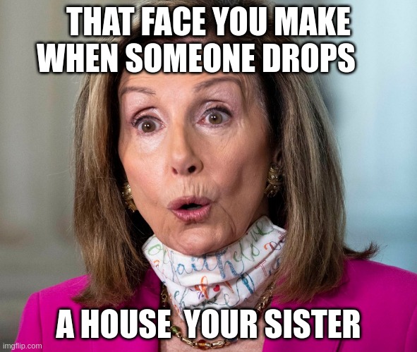 THAT FACE YOU MAKE WHEN SOMEONE DROPS; A HOUSE  YOUR SISTER | made w/ Imgflip meme maker