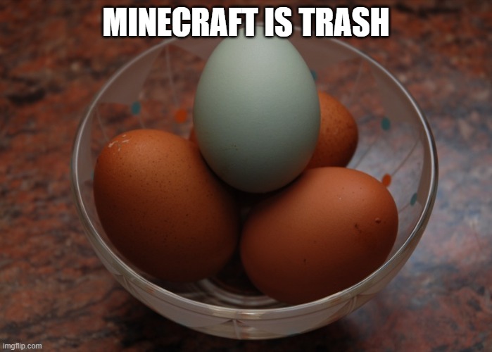 Blue egg among brown eggs | MINECRAFT IS TRASH | image tagged in blue egg among brown eggs | made w/ Imgflip meme maker