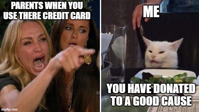 Using parents card | ME; PARENTS WHEN YOU USE THERE CREDIT CARD; YOU HAVE DONATED TO A GOOD CAUSE | image tagged in angry lady cat | made w/ Imgflip meme maker