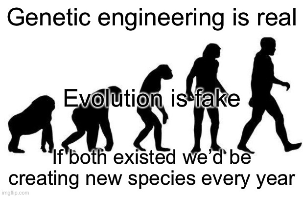 Human Evolution | Genetic engineering is real; Evolution is fake; If both existed we’d be creating new species every year | image tagged in human evolution,facts | made w/ Imgflip meme maker