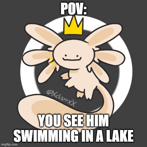 Tammy | POV:; YOU SEE HIM SWIMMING IN A LAKE | image tagged in tammy | made w/ Imgflip meme maker