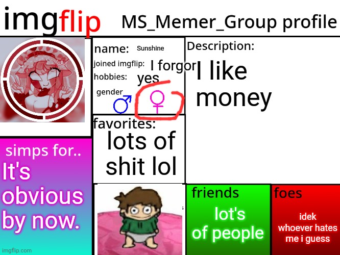 the kromer | I forgor; I like money; yes. Sunshine; lots of shit lol; It's obvious by now. idek whoever hates me i guess; lot's of people | image tagged in msmg profile | made w/ Imgflip meme maker