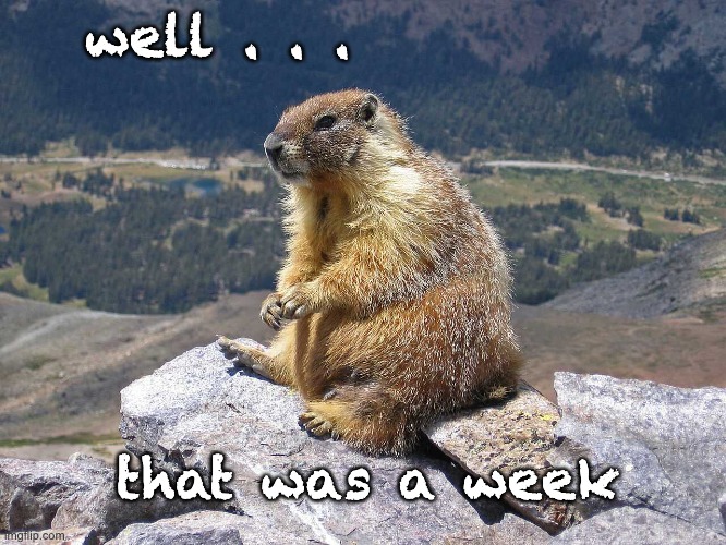 Enjoy your weekend, folks! | well . . . that was a week | image tagged in marmotsitting,weekend,tired,rodent,marmot | made w/ Imgflip meme maker