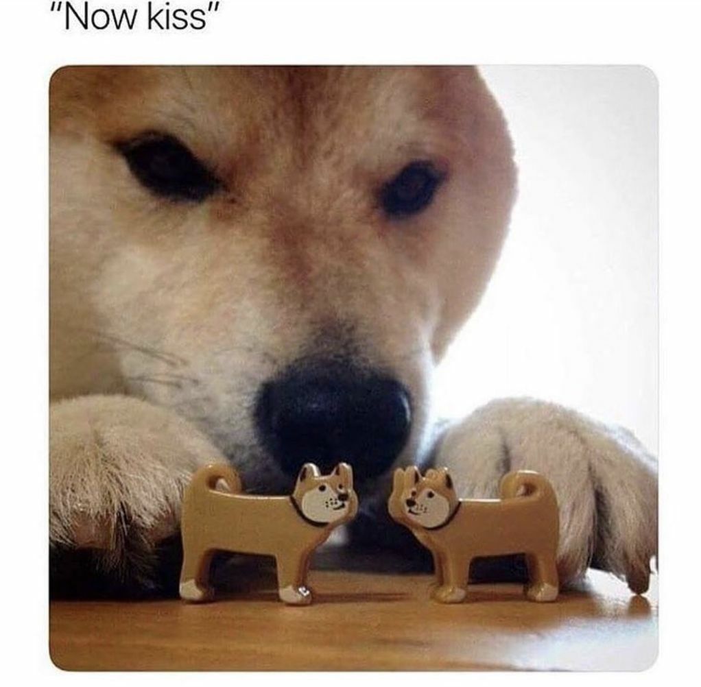 "now Kiss" Blank Meme Template