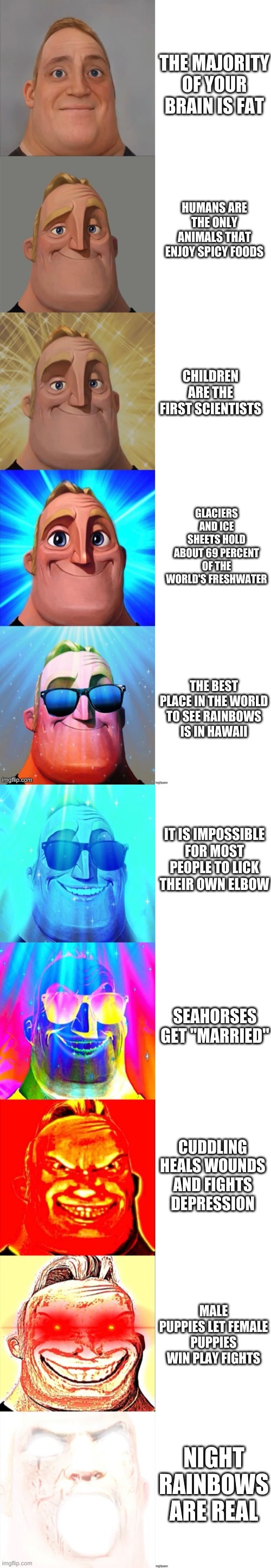 Mr Incredible Becoming Canny | THE MAJORITY OF YOUR BRAIN IS FAT; HUMANS ARE THE ONLY ANIMALS THAT ENJOY SPICY FOODS; CHILDREN ARE THE FIRST SCIENTISTS; GLACIERS AND ICE SHEETS HOLD ABOUT 69 PERCENT OF THE WORLD'S FRESHWATER; THE BEST PLACE IN THE WORLD TO SEE RAINBOWS IS IN HAWAII; IT IS IMPOSSIBLE FOR MOST PEOPLE TO LICK THEIR OWN ELBOW; SEAHORSES GET "MARRIED"; CUDDLING HEALS WOUNDS AND FIGHTS DEPRESSION; MALE PUPPIES LET FEMALE PUPPIES WIN PLAY FIGHTS; NIGHT RAINBOWS ARE REAL | image tagged in mr incredible becoming canny | made w/ Imgflip meme maker