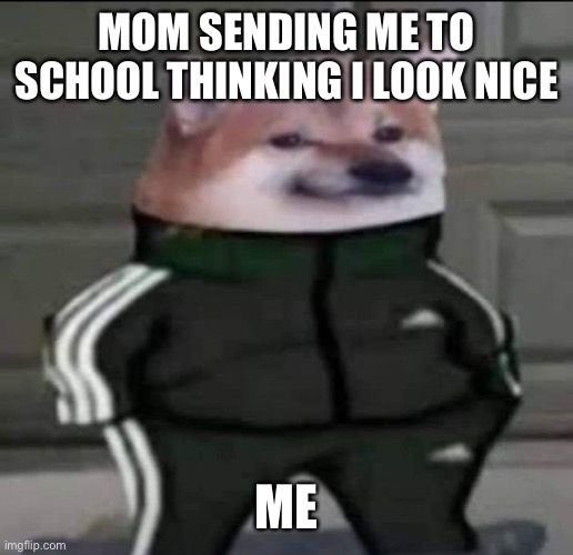 Slav doge | MOM SENDING ME TO SCHOOL THINKING I LOOK NICE; ME | image tagged in slav doge | made w/ Imgflip meme maker