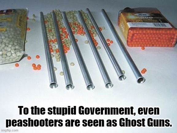 Weapons of Minor Annoyances | To the stupid Government, even peashooters are seen as Ghost Guns. | image tagged in guns,ghost guns,weapons,nra,2nd amendment,peashooter | made w/ Imgflip meme maker