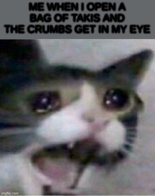 crying cat | ME WHEN I OPEN A BAG OF TAKIS AND THE CRUMBS GET IN MY EYE | image tagged in crying cat | made w/ Imgflip meme maker