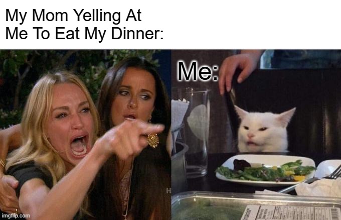Woman Yelling At Cat | My Mom Yelling At Me To Eat My Dinner:; Me: | image tagged in memes,woman yelling at cat | made w/ Imgflip meme maker