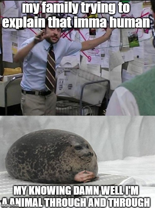 This be my life | my family trying to explain that imma human; MY KNOWING DAMN WELL I'M A ANIMAL THROUGH AND THROUGH | image tagged in charlie explaining to seal | made w/ Imgflip meme maker