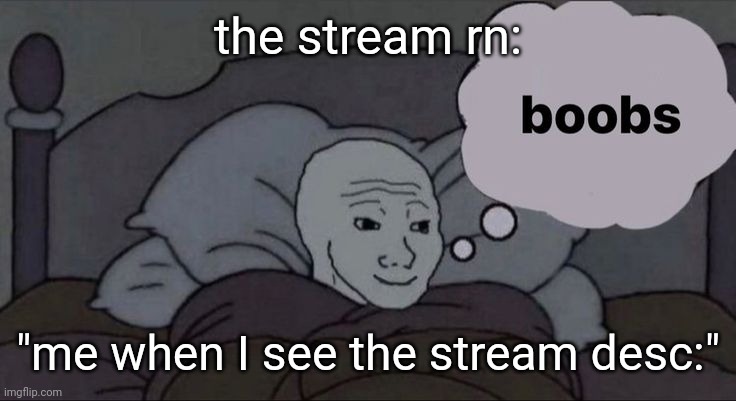 boobs | the stream rn:; "me when I see the stream desc:" | image tagged in boobs | made w/ Imgflip meme maker