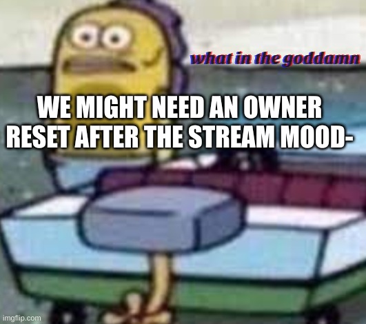 like we need some actually trustworthy owners | WE MIGHT NEED AN OWNER RESET AFTER THE STREAM MOOD- | image tagged in what in the goddamn | made w/ Imgflip meme maker