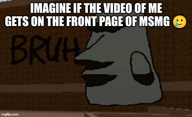 Bruh | IMAGINE IF THE VIDEO OF ME GETS ON THE FRONT PAGE OF MSMG 🥲 | image tagged in bruh | made w/ Imgflip meme maker