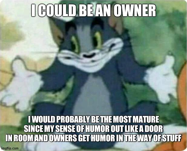 Anyone with me? Wouldn't be surprised if no one | I COULD BE AN OWNER; I WOULD PROBABLY BE THE MOST MATURE SINCE MY SENSE OF HUMOR OUT LIKE A DOOR IN ROOM AND OWNERS GET HUMOR IN THE WAY OF STUFF | image tagged in tom shrugging | made w/ Imgflip meme maker