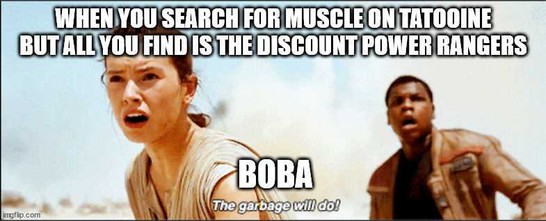 the garbage will do | WHEN YOU SEARCH FOR MUSCLE ON TATOOINE BUT ALL YOU FIND IS THE DISCOUNT POWER RANGERS; BOBA | image tagged in the garbage will do | made w/ Imgflip meme maker