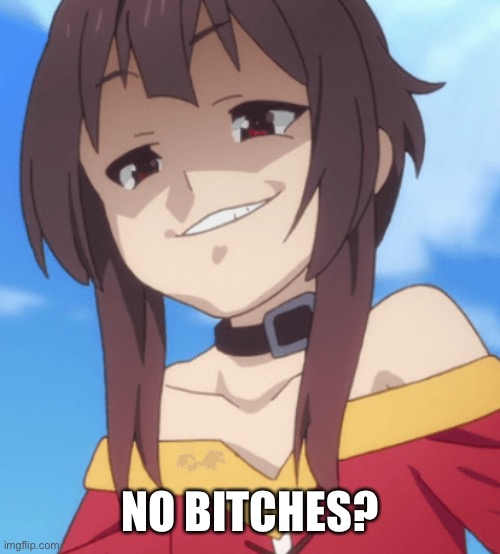 Smug megumin | NO BITCHES? | image tagged in smug megumin | made w/ Imgflip meme maker