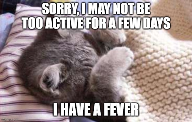 Well, If you don't hear of me in the next few days, I'm either still having a fever or I'm dead | SORRY, I MAY NOT BE TOO ACTIVE FOR A FEW DAYS; I HAVE A FEVER | image tagged in sick cat,memes,sick,coronavirus,fever,i can't have magic mushrooms now xd | made w/ Imgflip meme maker