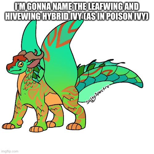 I need to make a few more OCs to come up with their bio. Anyways, this stays in line with the traditional tree/poisonous plant n | I’M GONNA NAME THE LEAFWING AND HIVEWING HYBRID IVY (AS IN POISON IVY) | made w/ Imgflip meme maker