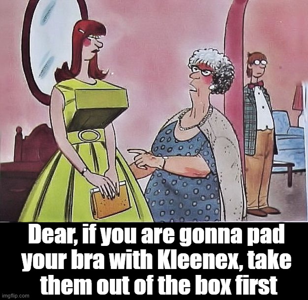 Dear, if you are gonna pad 
your bra with Kleenex, take 
them out of the box first | image tagged in cartoon | made w/ Imgflip meme maker