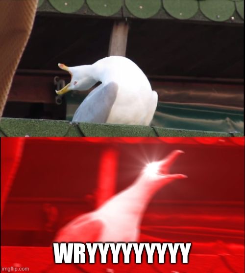 screaming seagull | WRYYYYYYYYY | image tagged in screaming seagull,jojo's bizarre adventure | made w/ Imgflip meme maker