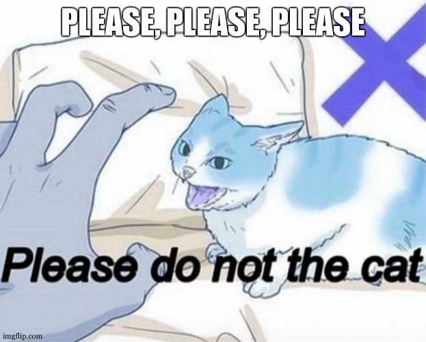 Do not indeed for the cat is arisen | PLEASE, PLEASE, PLEASE | image tagged in please do not the cat | made w/ Imgflip meme maker