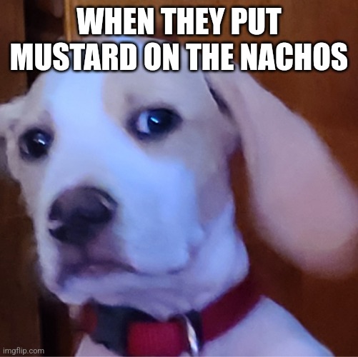 What the hell | WHEN THEY PUT MUSTARD ON THE NACHOS | image tagged in the fucc | made w/ Imgflip meme maker