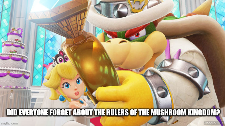 DID EVERYONE FORGET ABOUT THE RULERS OF THE MUSHROOM KINGDOM? | made w/ Imgflip meme maker