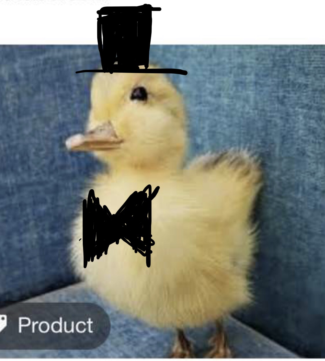 High Quality Dapper Duck Blank Meme Template