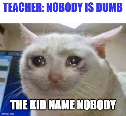 Sad cat | TEACHER: NOBODY IS DUMB; THE KID NAME NOBODY | image tagged in sad cat | made w/ Imgflip meme maker