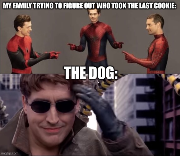 Who took the cookie from the cookie jar | MY FAMILY TRYING TO FIGURE OUT WHO TOOK THE LAST COOKIE:; THE DOG: | image tagged in spider-man stand off,se te va el tren ara a,spiderman,the last cookie,dogs,marvel | made w/ Imgflip meme maker