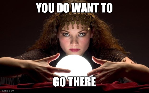 Psychic with Crystal Ball | YOU DO WANT TO GO THERE | image tagged in psychic with crystal ball | made w/ Imgflip meme maker