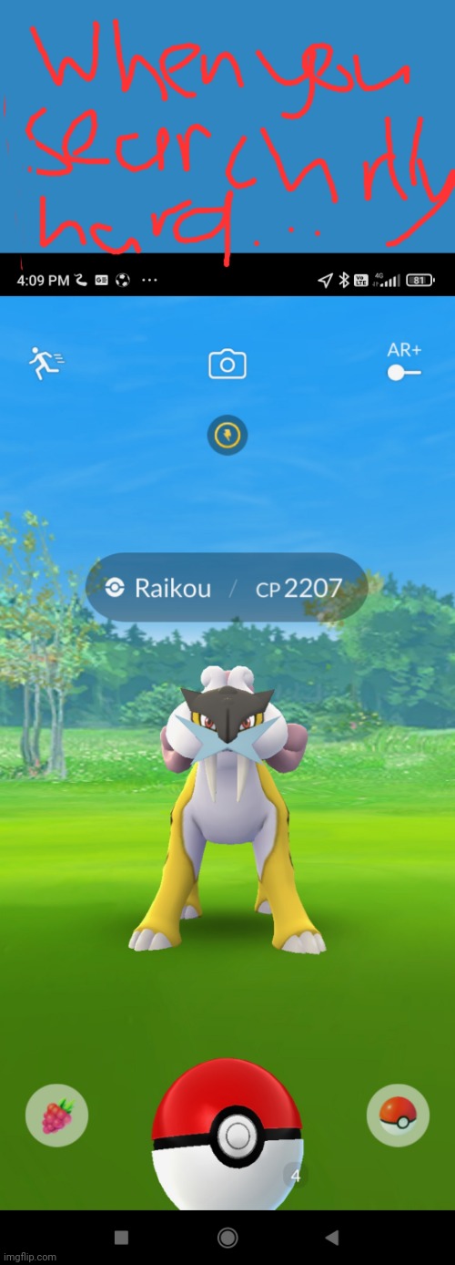 When you search really hard in pokemon go | image tagged in raikou,polemon | made w/ Imgflip meme maker