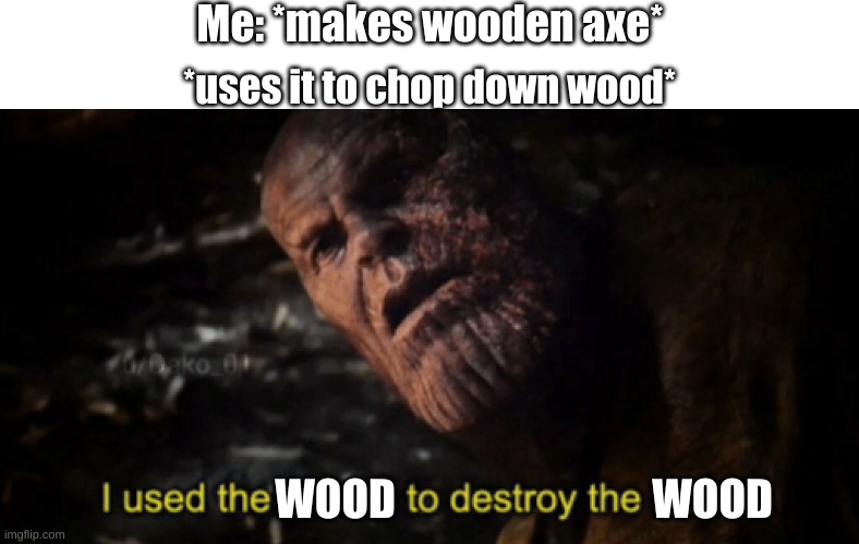I used the stones to destroy the stones | Me: *makes wooden axe*; *uses it to chop down wood*; WOOD; WOOD | image tagged in i used the stones to destroy the stones | made w/ Imgflip meme maker