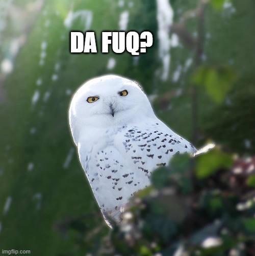 DA FUQ? | made w/ Imgflip meme maker