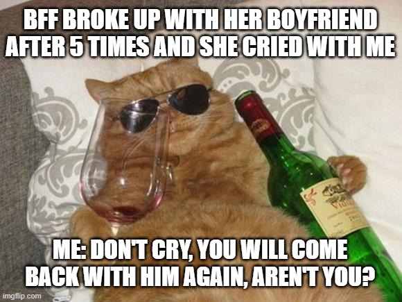 broke up with my bff | BFF BROKE UP WITH HER BOYFRIEND AFTER 5 TIMES AND SHE CRIED WITH ME; ME: DON'T CRY, YOU WILL COME BACK WITH HIM AGAIN, AREN'T YOU? | image tagged in funny cat birthday,break up,memes,funny memes,funny cat memes,bff | made w/ Imgflip meme maker